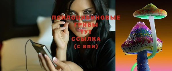 круглые Аркадак