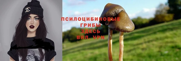 круглые Аркадак