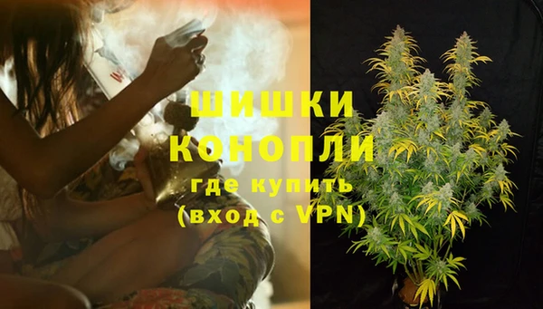 дурь Арсеньев