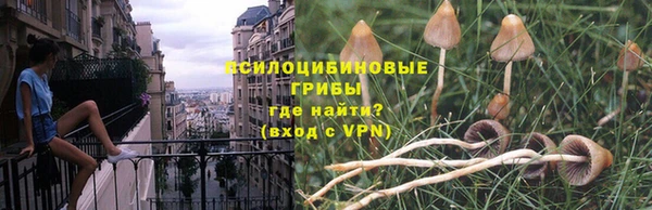 круглые Аркадак