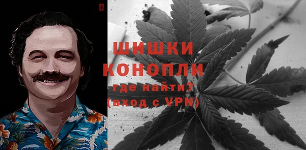 дурь Арсеньев